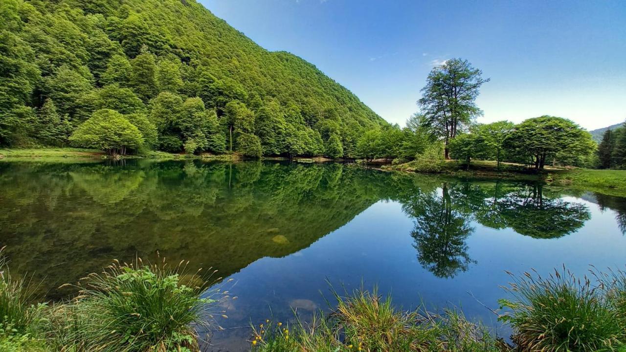 לינה וארוחת בוקר Le Jardin De Moulis, Saint Girons, Ariege, Pyrenees, מראה חיצוני תמונה