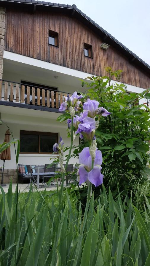 לינה וארוחת בוקר Le Jardin De Moulis, Saint Girons, Ariege, Pyrenees, מראה חיצוני תמונה